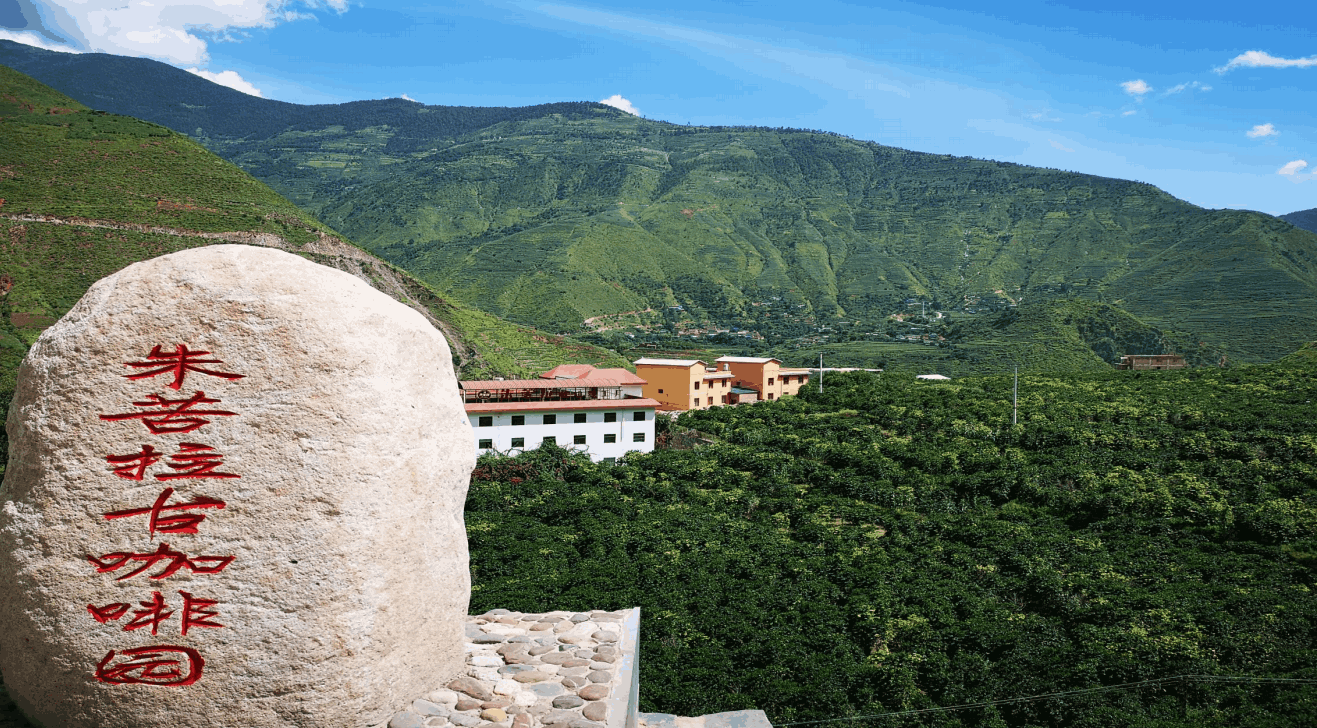 云南旅游,云南旅行社,云南團建公司,云南策劃公司,云南會議會展,云南策劃執(zhí)行,大理旅游,大理旅行社,大理團建公司,大理會議公司,大理會議會展,大理策劃公司:咖豆尋根·咖啡深度研學(xué)團建之旅